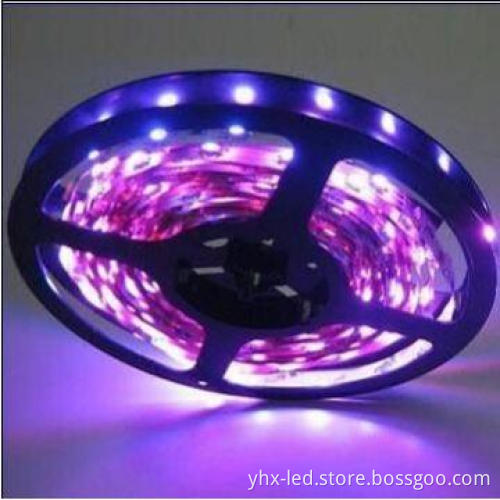LED Light Strip SMD5050 DC12V